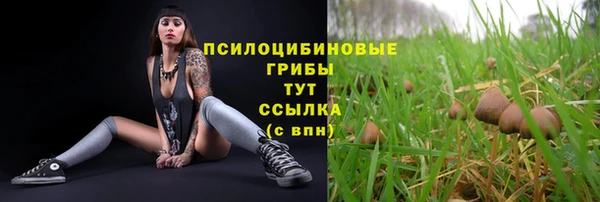гашишное масло Алексеевка