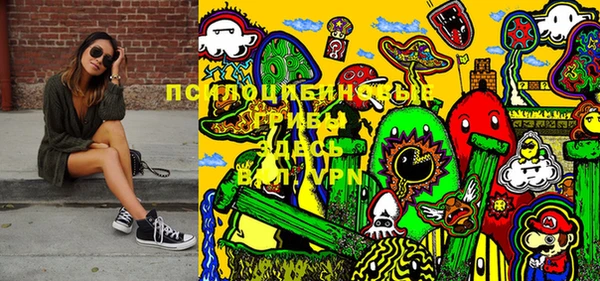 твердый Ладушкин