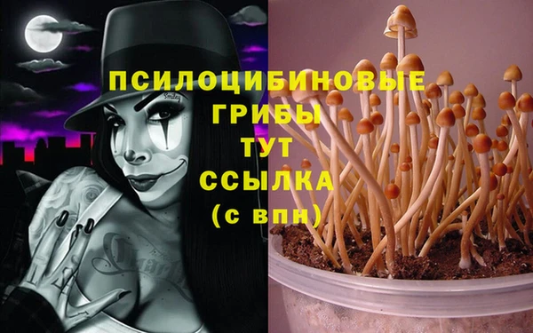 стафф Алексин