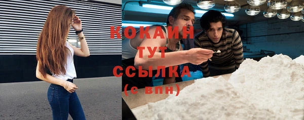 стафф Алексин