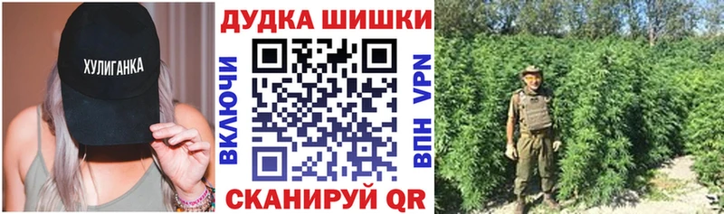 где найти   Дыгулыбгей  Каннабис White Widow 
